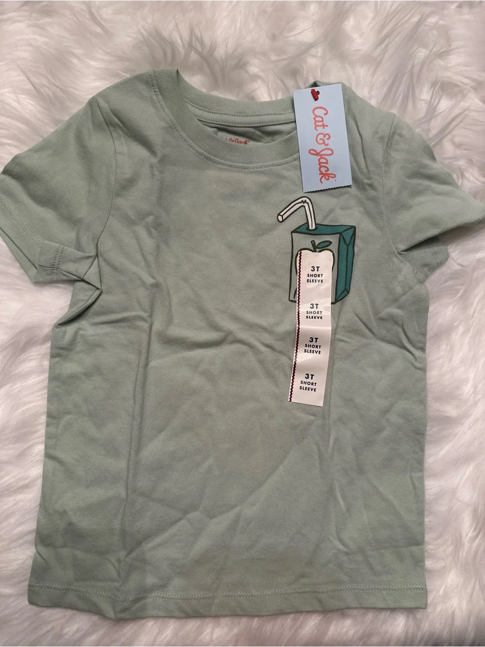 Cat & Jack Light Sage Short Sleeve Tee with Juice Carton Graphic